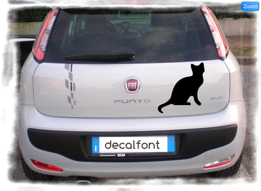 L'effetto dell'adesivo Gatto profilo su una Fiat Punto