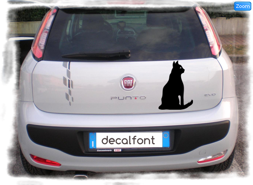 L'effetto dell'adesivo Gatto 3 su una Fiat Punto