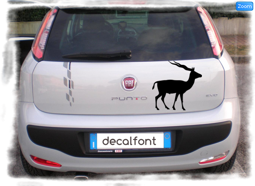 L'effetto dell'adesivo Antilope 3 su una Fiat Punto