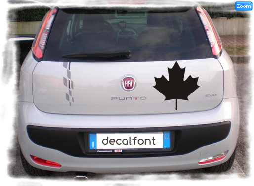 L'effetto dell'adesivo sticker-foglia su una Fiat Punto