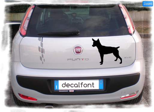 L'effetto dell'adesivo Ratterrier su una Fiat Punto