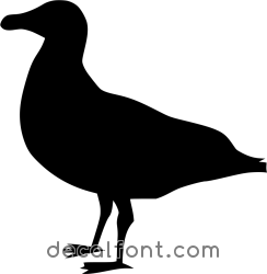 Adesivo Albatros