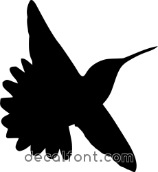 Adesivo Colibri