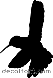 Adesivo Colibri 3
