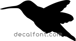 Adesivo Colibri 4