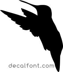 Adesivo Colibri 5
