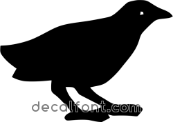 Adesivo Gallinella terrestre