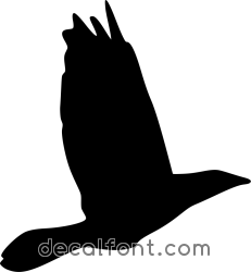 Adesivo Uccello 2