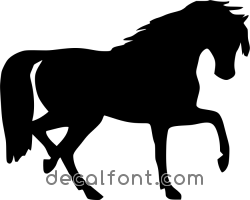 Adesivo Cavallo 2