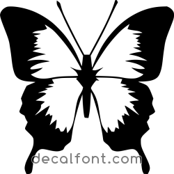 Adesivo Farfalla 7
