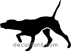 Adesivo Pointer