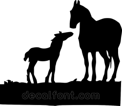 Adesivo Cavallo e pony